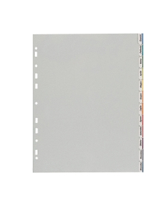 Divisori realizzati in Polipropilene di colore grigio da 120micron. Dotati di 12 tacche neutre e di un cartoncino stampato e fustellato per la personalizzazione delle tacche. 
Foratura universale. 
Formato esterno: 24,2x30,5 cm. Formato interno: 22x30 cm.