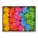 Stelle nastro in carta ecocolor in colori assortiti primavera.