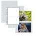 Buste in PP liscio con foratura universale per la raccolta di fotografie. 
Dotate di 2 tasche per lato da 15x21cm (inserimento foto laterale)
I due lati sono separati da un divisorio bianco. 
Formato busta 21x29,7cm.